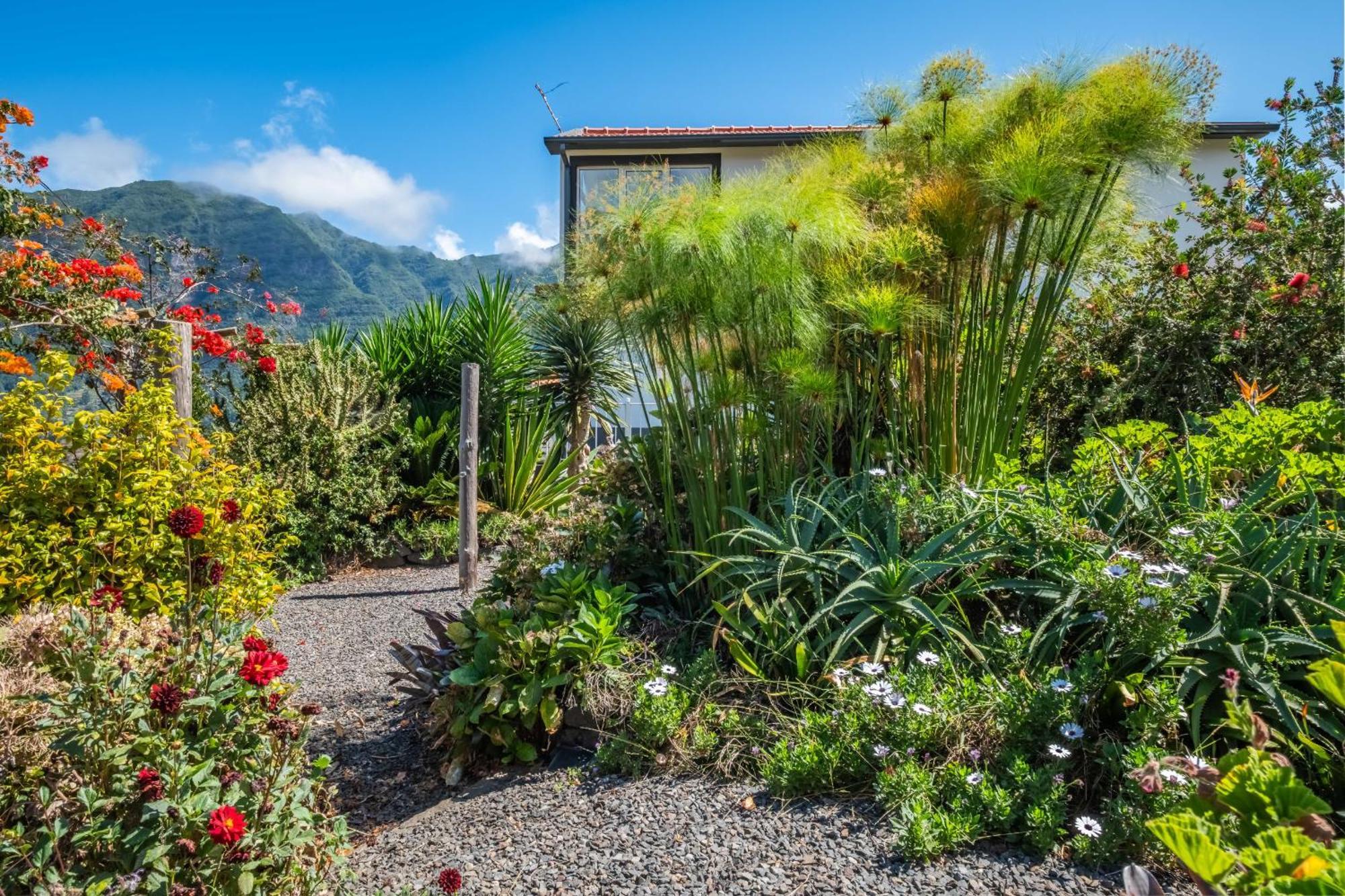 Landure By Madeira Sun Travel Apartment Sao Vicente  Exterior photo